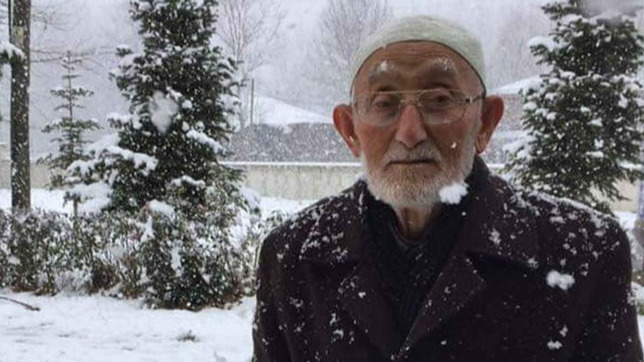 12 torun sahibi asırlık çınar hayatını kaybetti