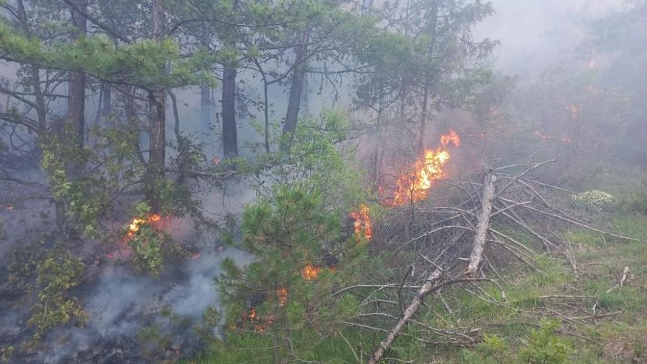 Göynük’te orman yangını kontrol altına alındı