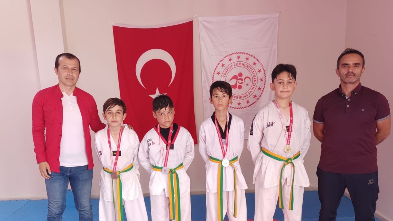 Ferizli'de 21 Haziran Taekwondo turnuvası