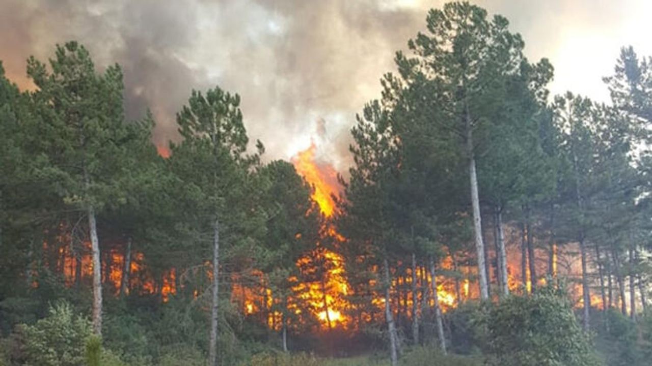 Orman yangınlarına karşı hangi önlemler alınmalı?