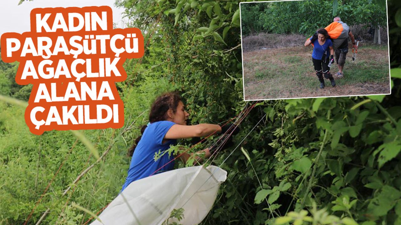 Serdivan'da kadın paraşütçü ağaçlık alana çakıldı