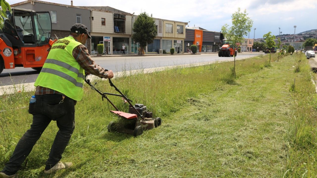 ASEM'de yabani ot ve çim biçme çalışmaları sürüyor