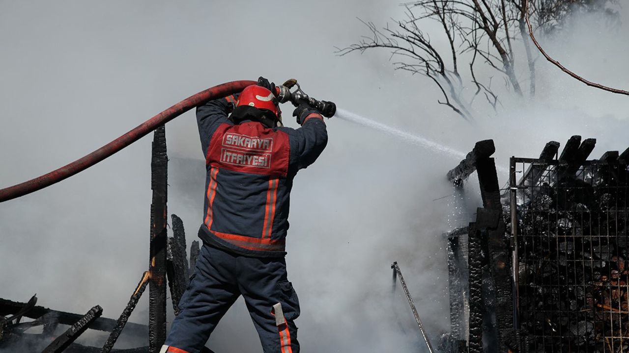 Büyükşehir'den orman yangınlarına karşı 'ateş yakmayın' çağrısı