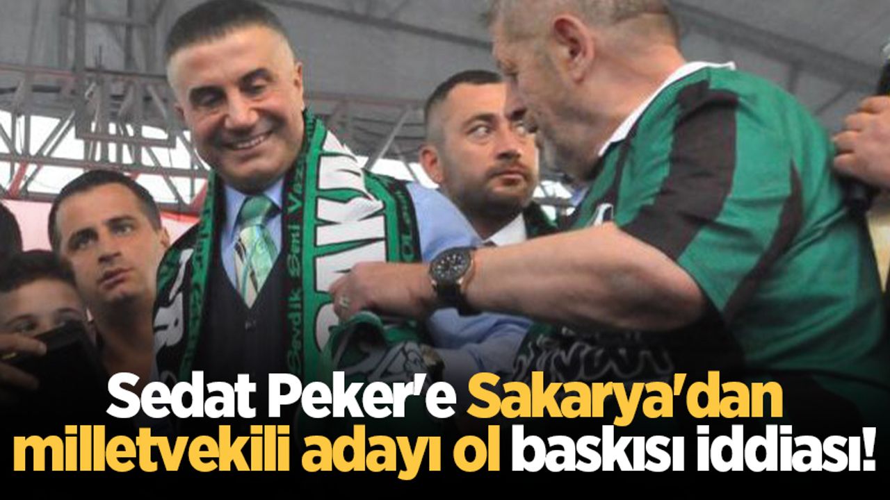 Sedat Peker'e Sakarya'dan milletvekili adayı ol baskısı iddiası!