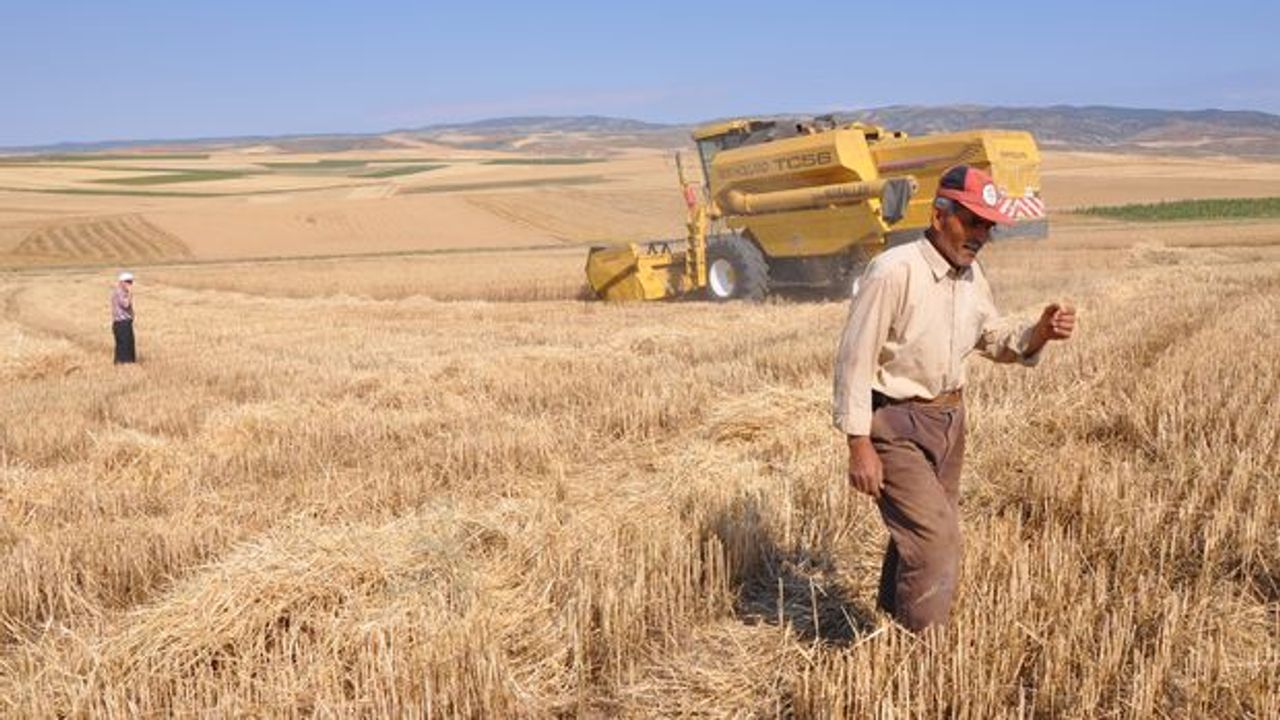 Tarımda üretici enflasyonu yıllık yüzde 149 oldu