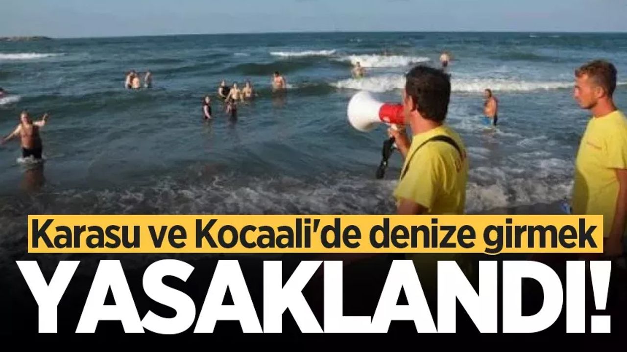 Sakarya'da denize girmek yasaklandı! - Sakarya'nın Haber Kaynağı