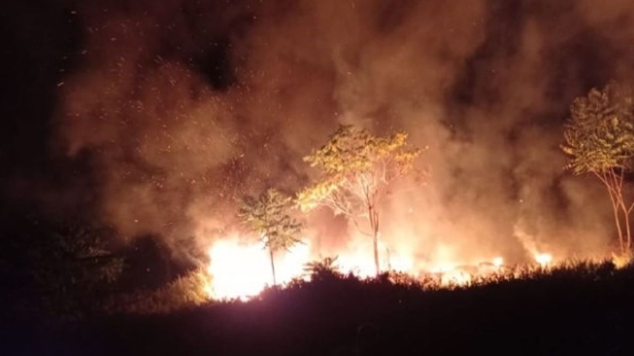 Ağaçlık alandaki araba lastikleri ormanı yaktı