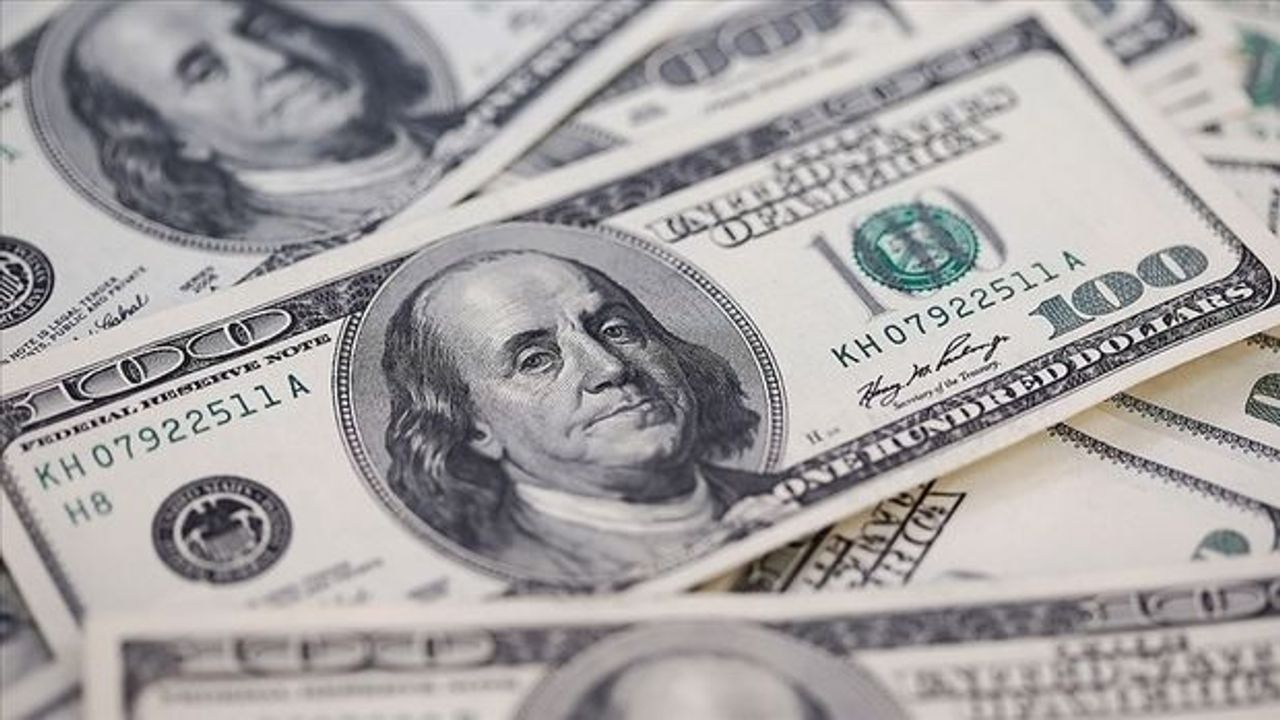 Türkiye'de bankadaki her 100 liradan 71'i 'dolarize'