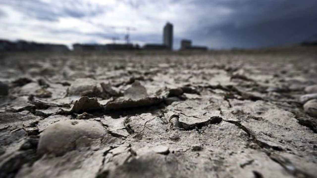 Avrupa'da 500 yılın en ağır kuraklığı uyarısı