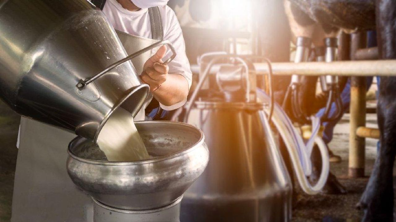Çiğ süt üretiminde alarmlar çalıyor