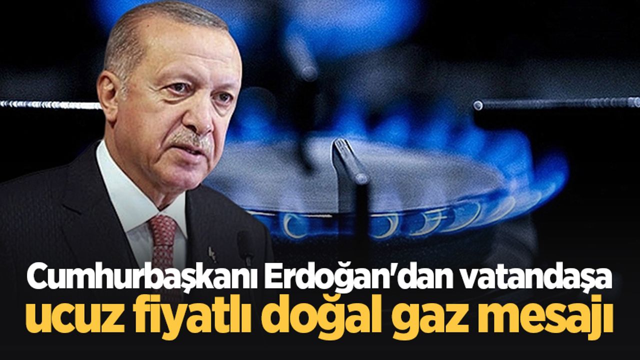 Cumhurbaşkanı Erdoğan: Doğal gazı çok daha ucuza ulaştıracağız