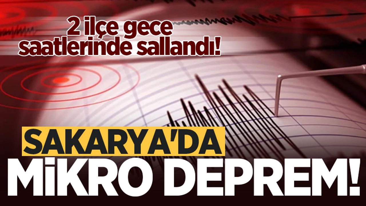 2 ilçede gece saatlerinde mikro deprem meydana geldi! 