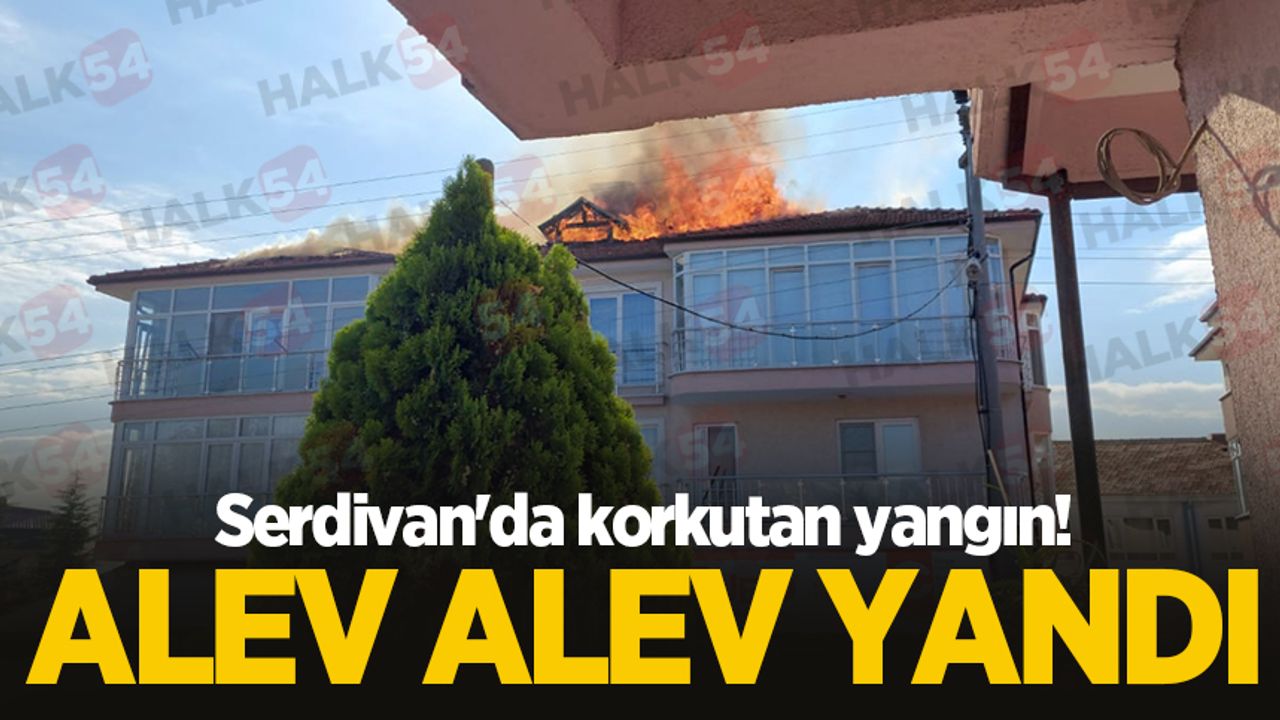 Serdivan'da korkutan yangın!