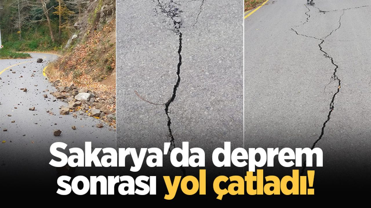 Sakarya'da deprem sonrası yol çatladı!