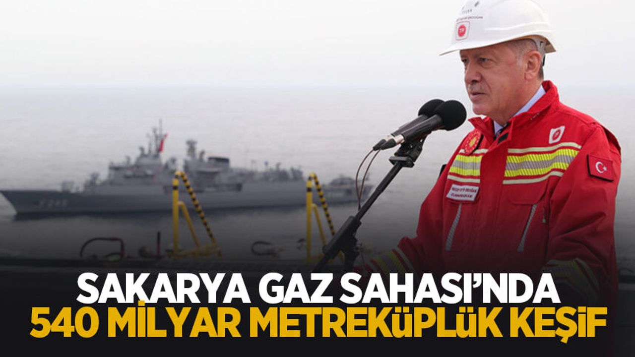 Ərdoğandan müjdə: Türkiyə əhalisi yaxın zamanda yerli qazdan istifadə edəcək