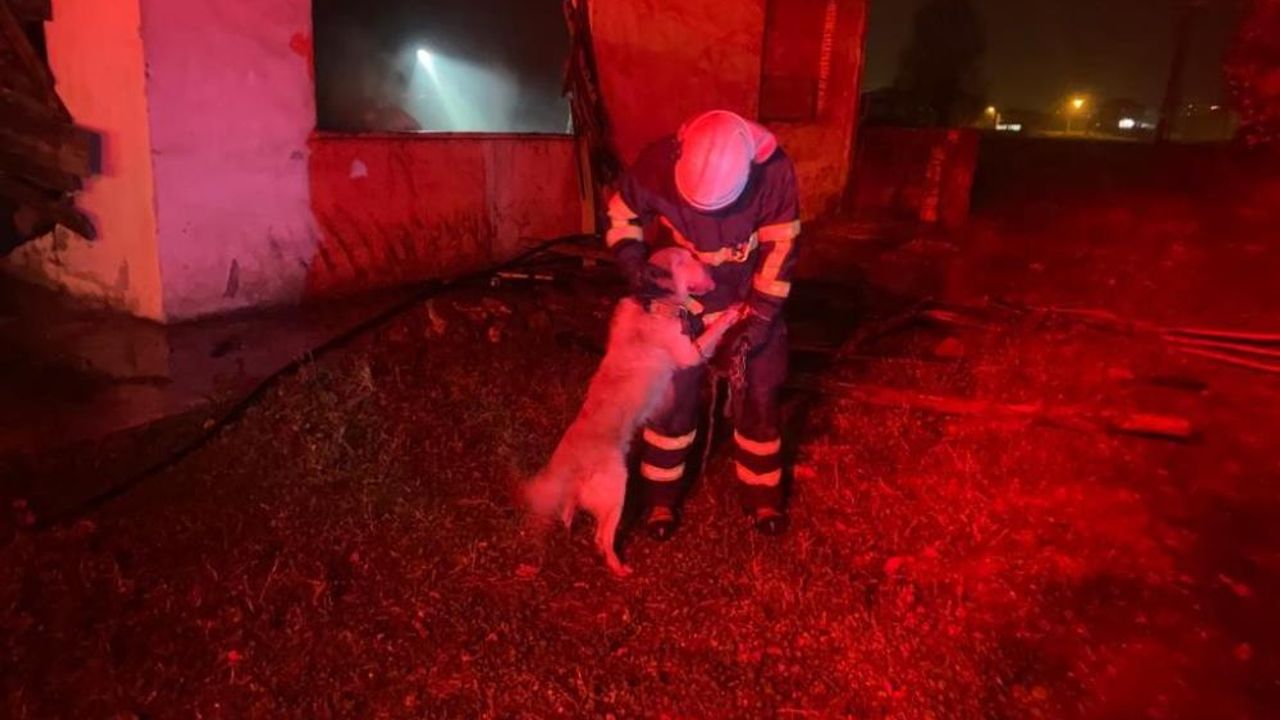 Yangını söndürüp mahsur kalan köpeği kurtardılar