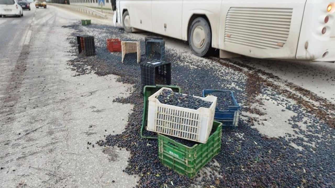 Kamyonet ile servis otobüsü çarpıştı, 1,5 ton zeytin yola saçıldı
