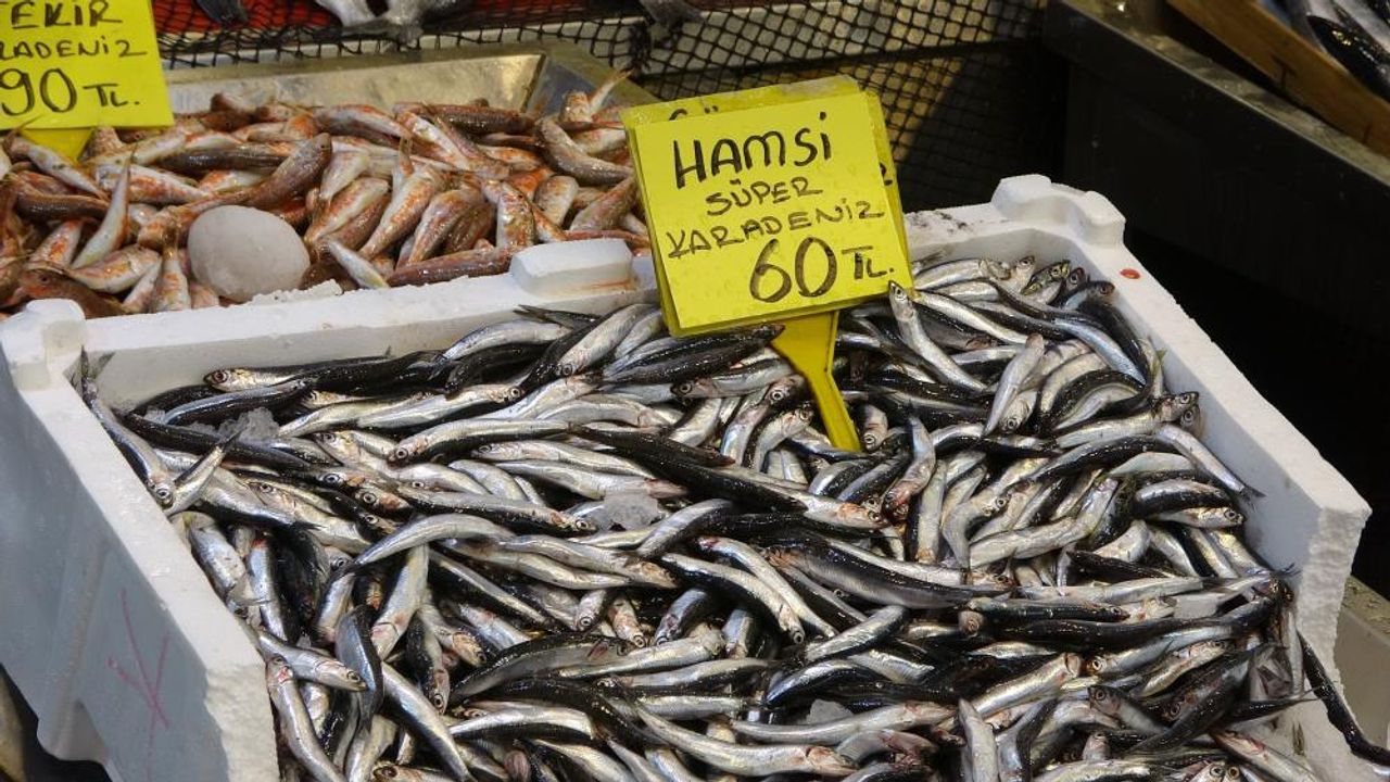 Balık fiyatları geriledi, hamsinin fiyatı 110 TL'den 60 TL'ye düştü