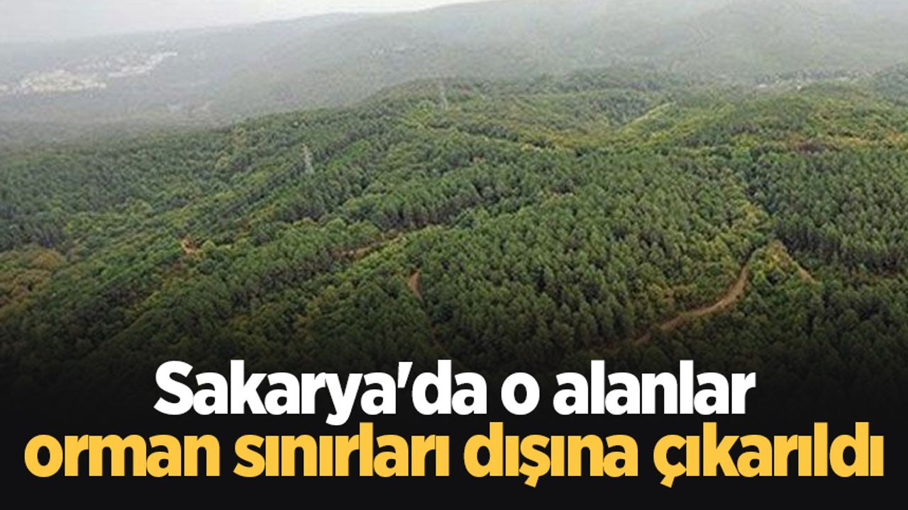 Sakarya'da o alanlar orman sınırları dışına çıkarıldı
