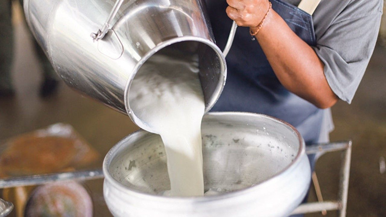 Süt ve süt ürünleri üretiminde sert düşüş