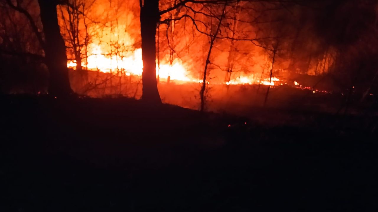 Hendek'te söndürülen orman yangını yeniden alevlendi