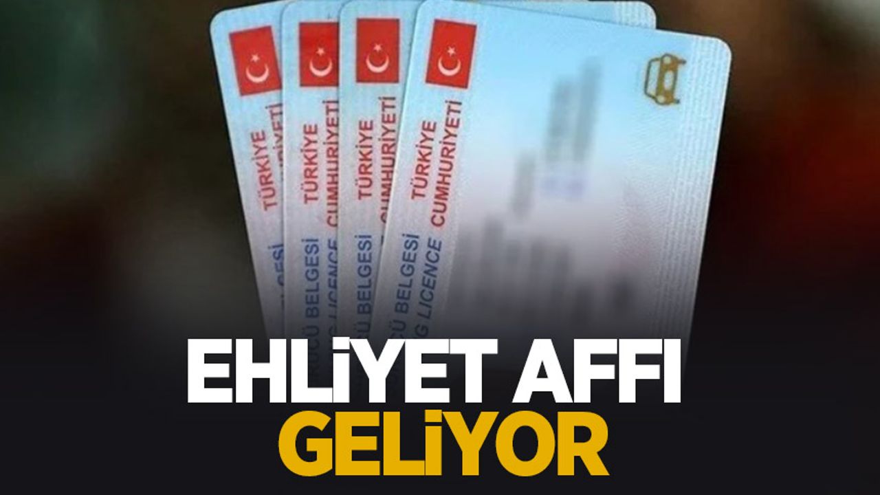 Erdoğan'dan ehliyet ve ceza affı müjdesi
