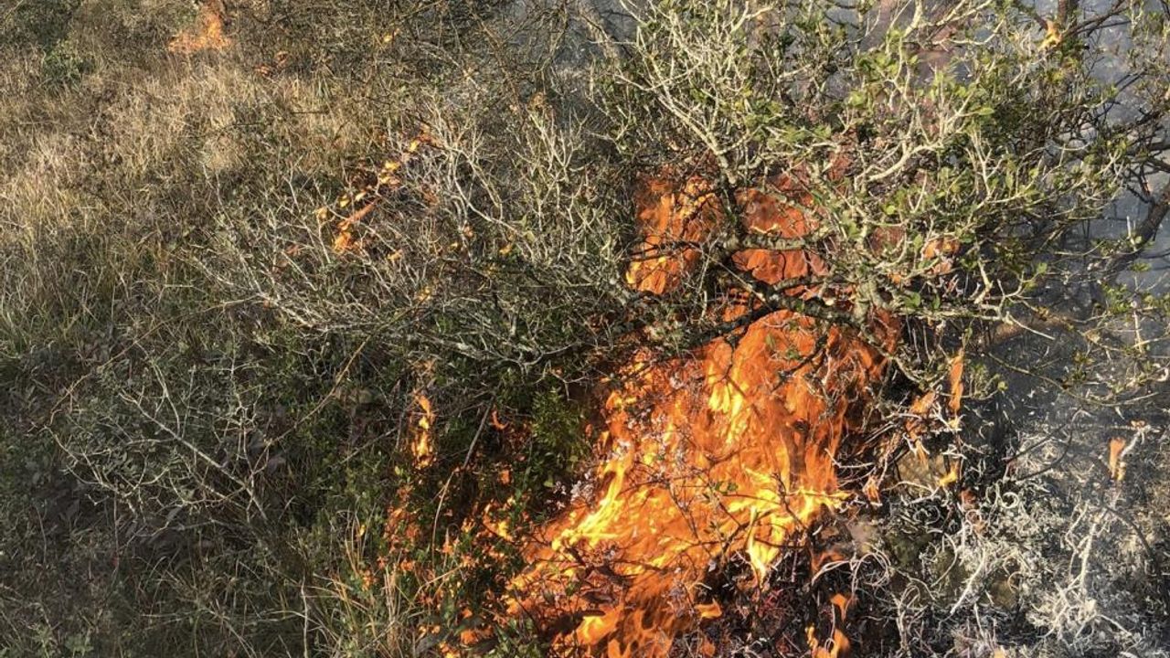 Orman yangını köylülerin müdahalesiyle söndürüldü
