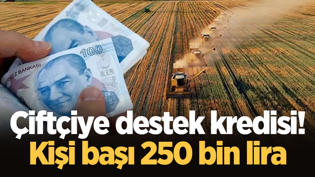 Çiftçiye destek kredisi! Kişi başı 250 bin lira