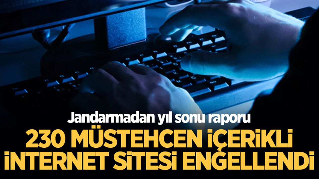 Jandarma, Sakarya'da bir yılda 230 müstehcen içerikli internet sitesini engelledi!