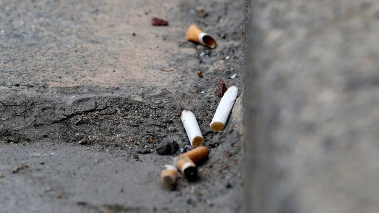 Tütün firmaları, sigara izmaritleri için ödeme yapacak