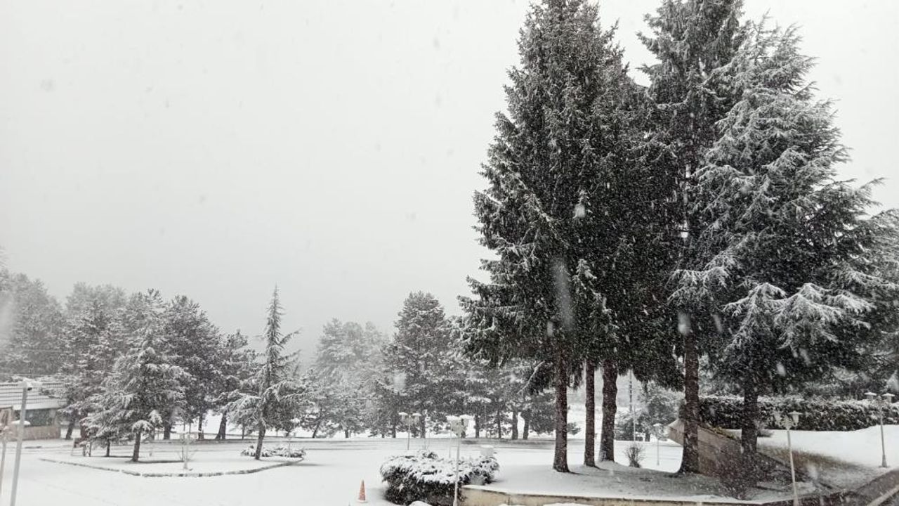 Doğaseverlerin gözdesi Abant'ta mart ayında kar sürprizi
