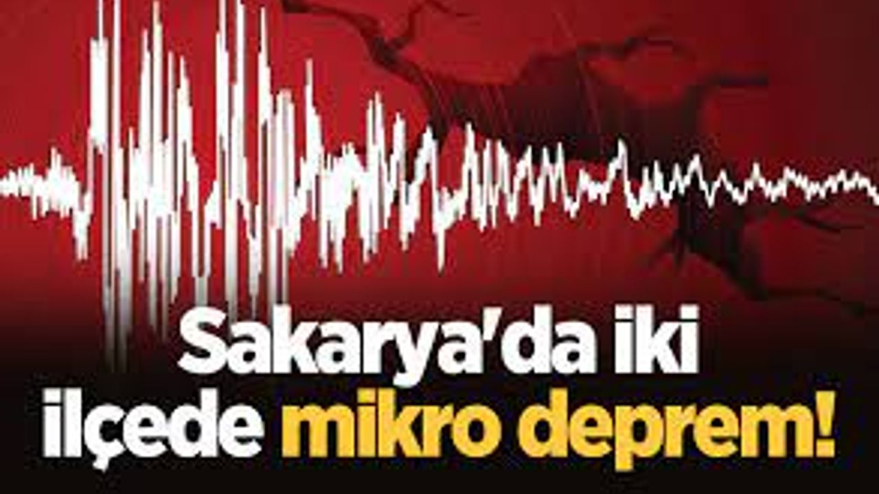 Sakarya'da mikro deprem! 2 ilçe sallandı