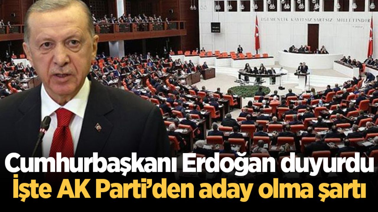 Cumhurbaşkanı Erdoğan duyurdu: İşte AK Parti'den aday olma şartı
