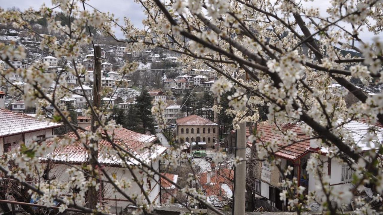 Tarihi Osmanlı kasabasında bahar havası yaşanıyor