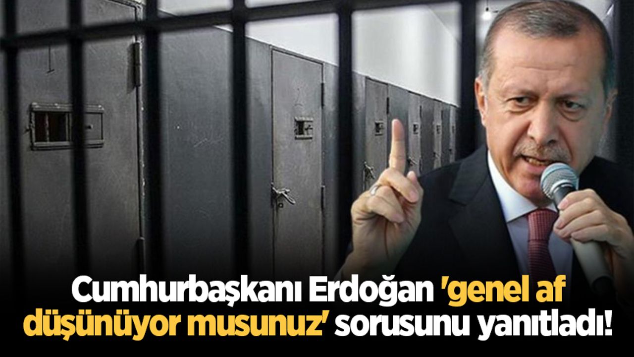 Cumhurbaşkanı Erdoğan 'genel af düşünüyor musunuz' sorusunu yanıtladı!