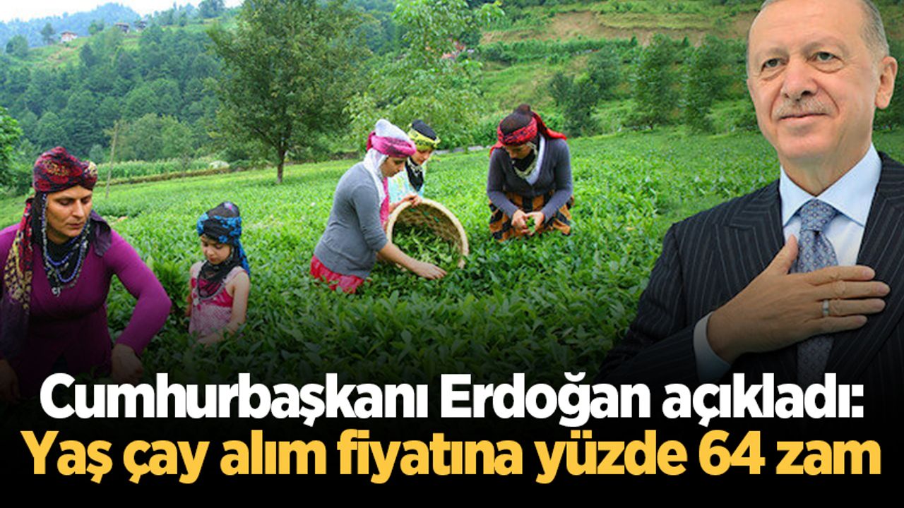 Cumhurbaşkanı Erdoğan açıkladı: Yaş çay alım fiyatına yüzde 64 zam