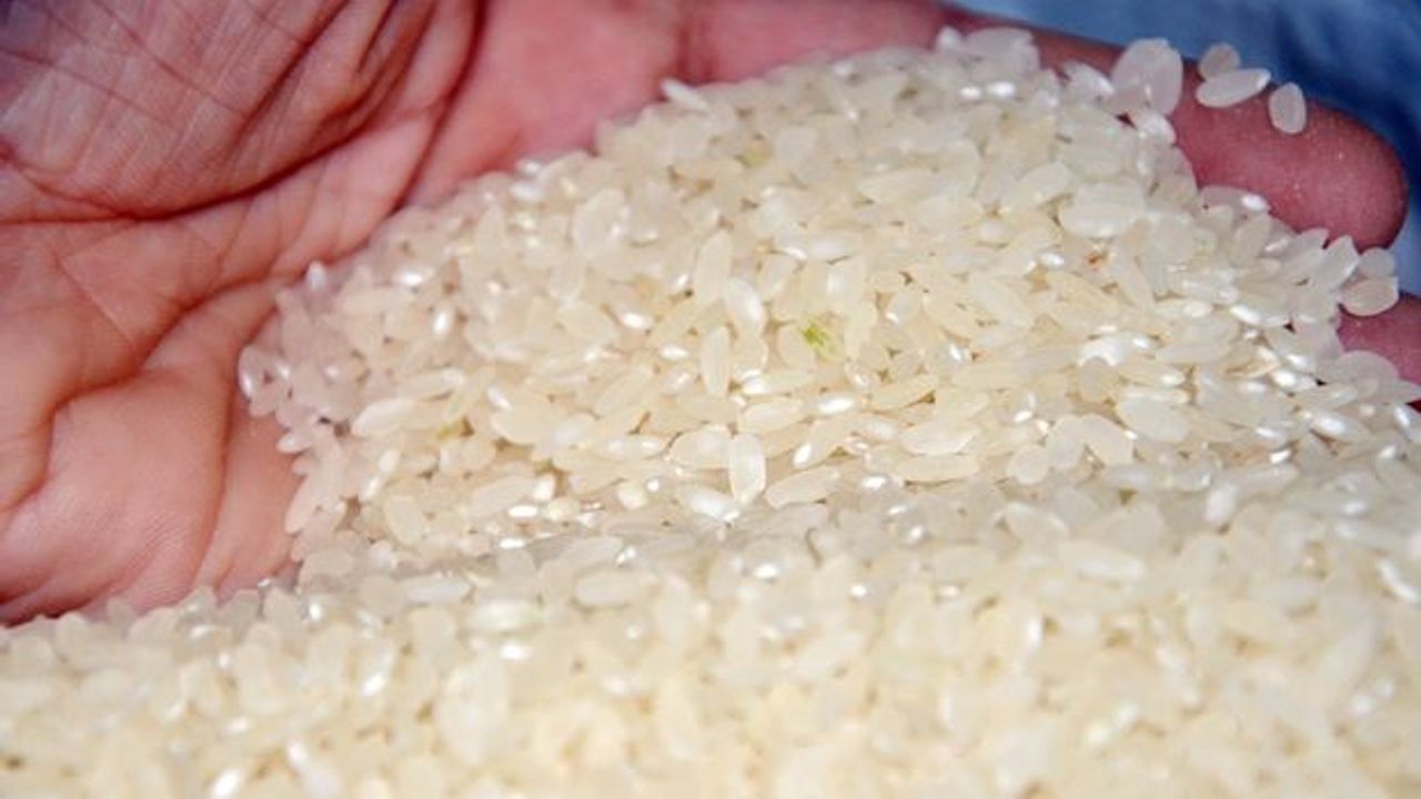 Pirinç ithalatında vergi yüzde 45'e çıktı