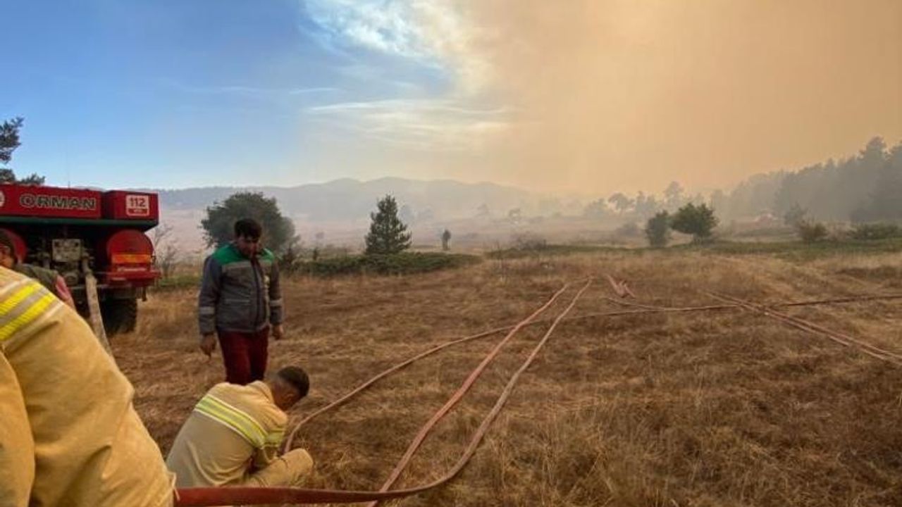 Bolu-Ankara sınırında orman yangını
