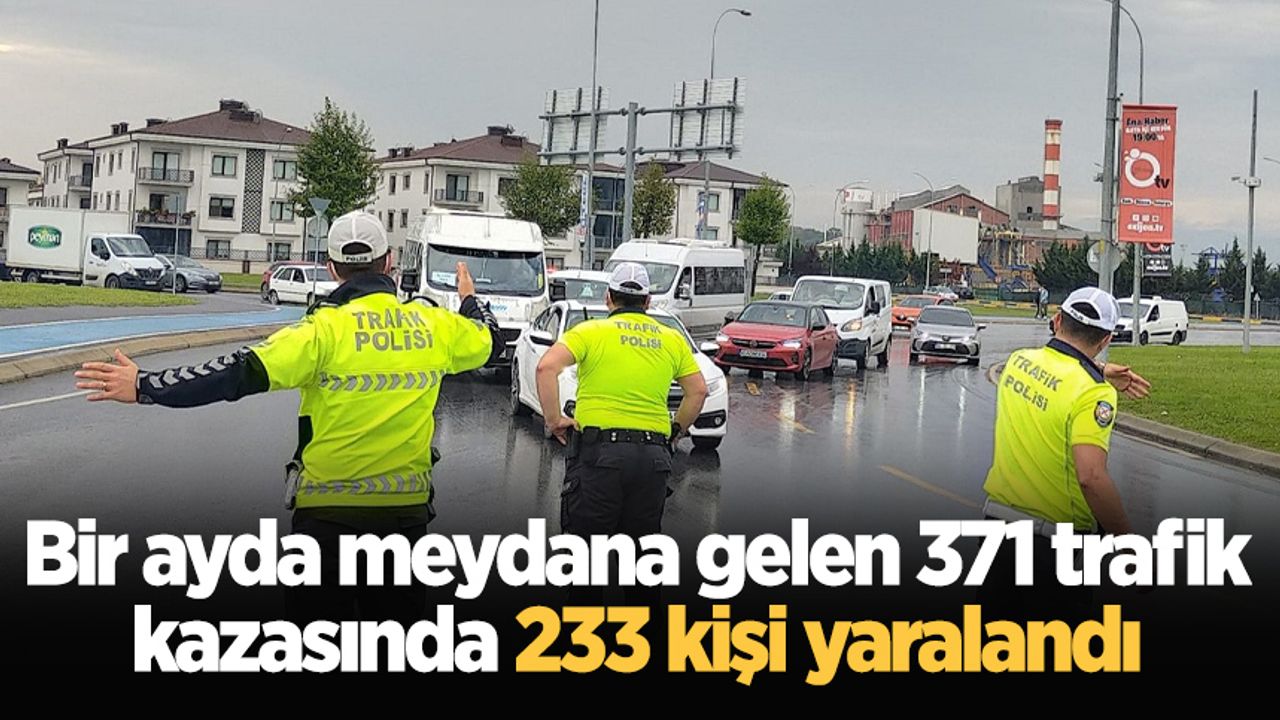 Bir ayda meydana gelen 371 trafik kazasında 233 kişi yaralandı