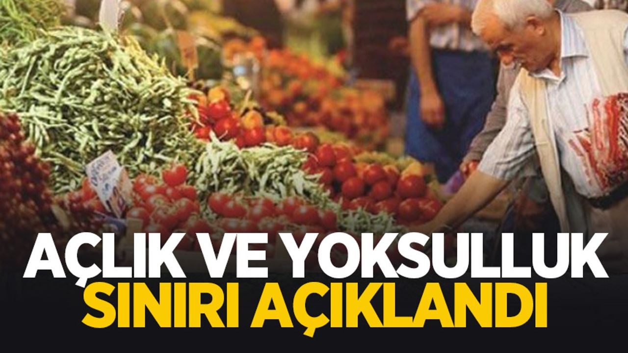 Türk-İş kasım ayı açlık sınırını açıkladı