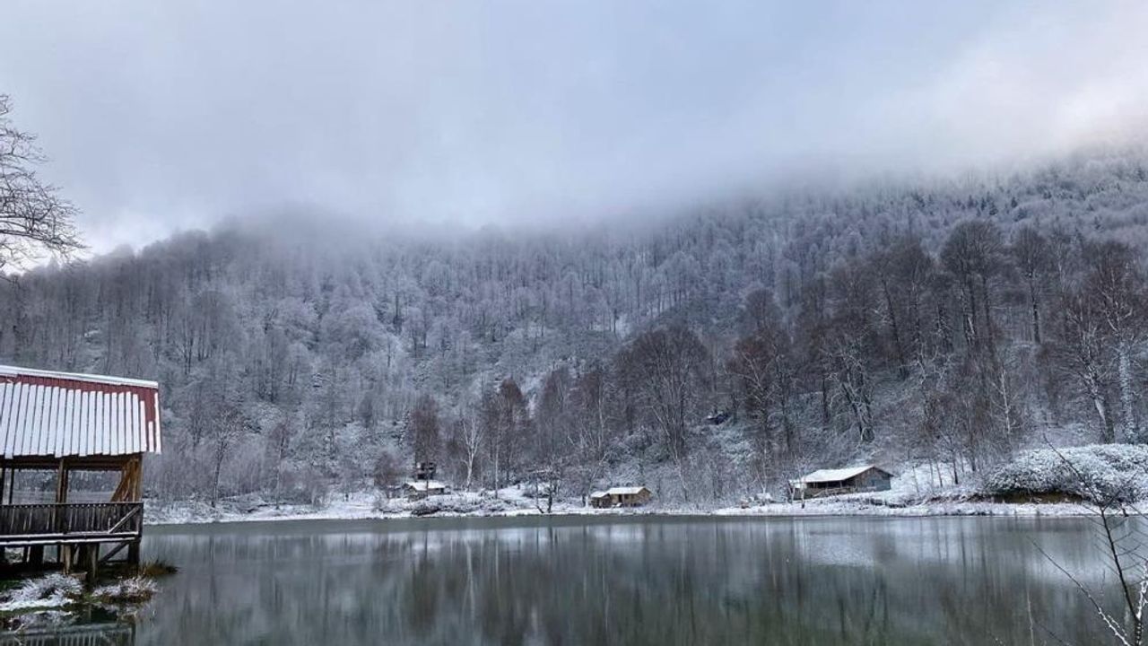 Karla buluşan doğadan kartpostallık manzaralar