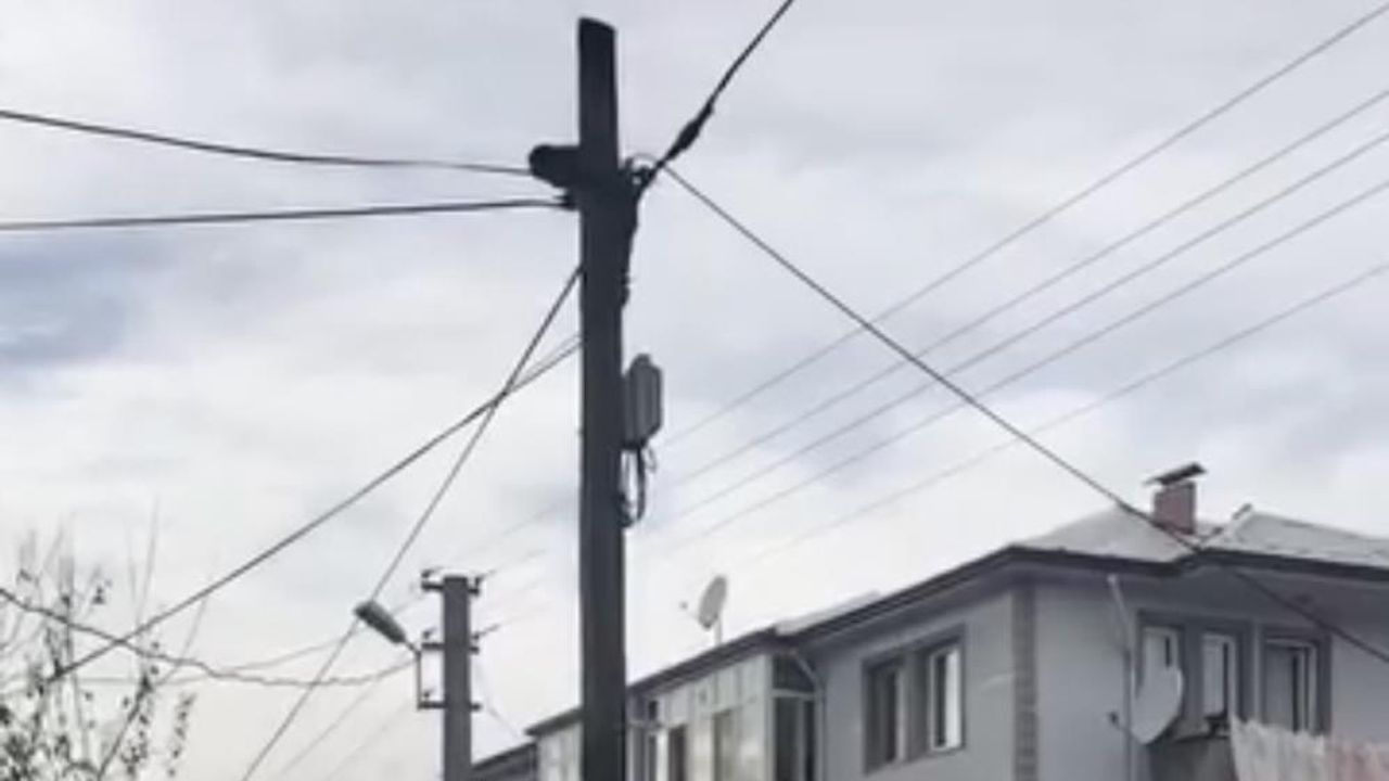 Köpeklerden kaçtı, direkte mahsur kaldı