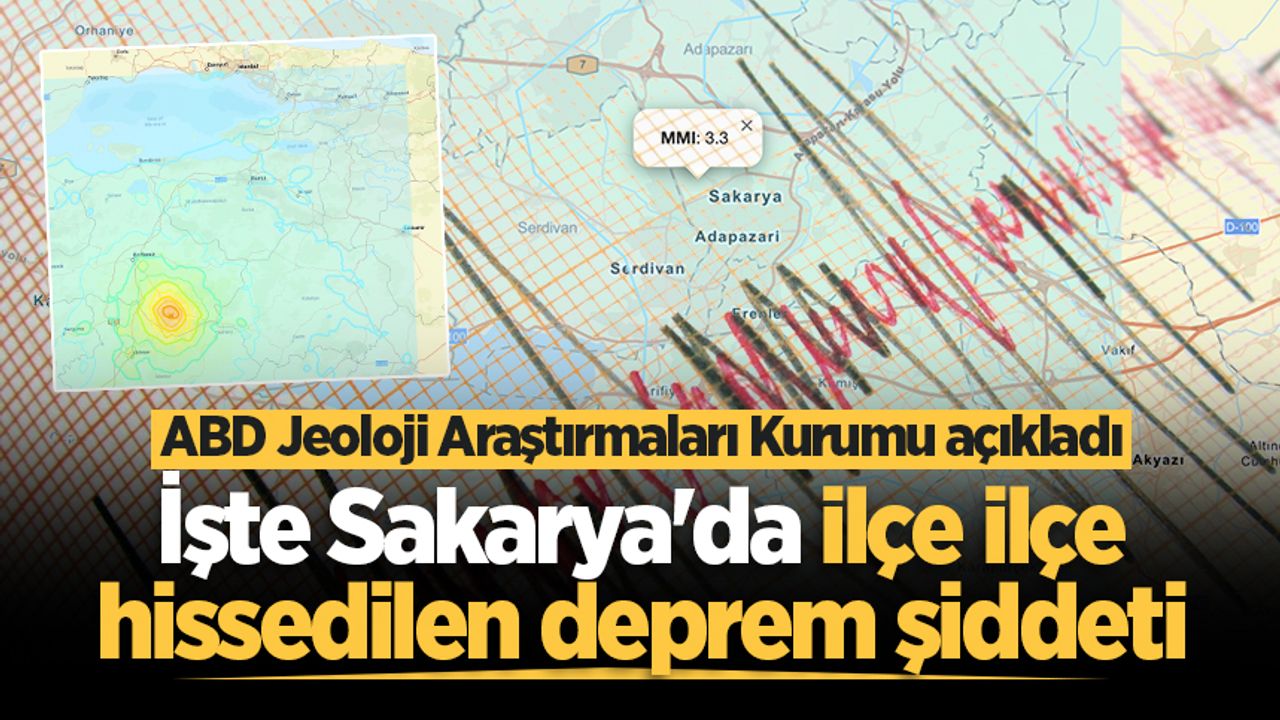 ABD Jeoloji Araştırmaları Kurumu açıkladı: İşte Sakarya'da ilçe ilçe hissedilen deprem şiddeti