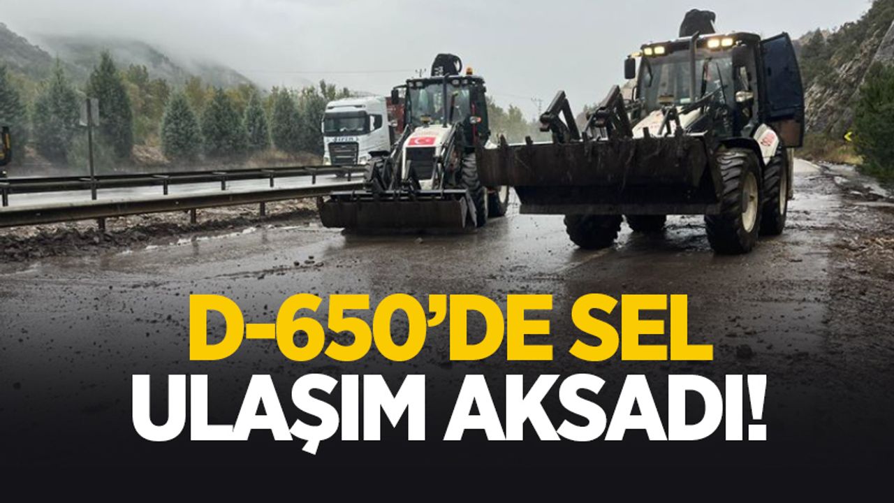 D-650 karayolunda sel engeli