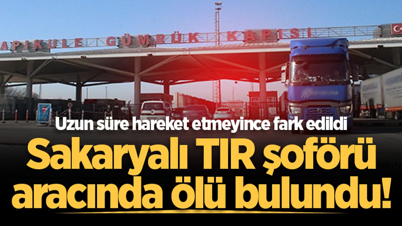 Uzun süre hareket etmeyince fark edildi: Sakaryalı TIR şoförü aracında ölü bulundu!
