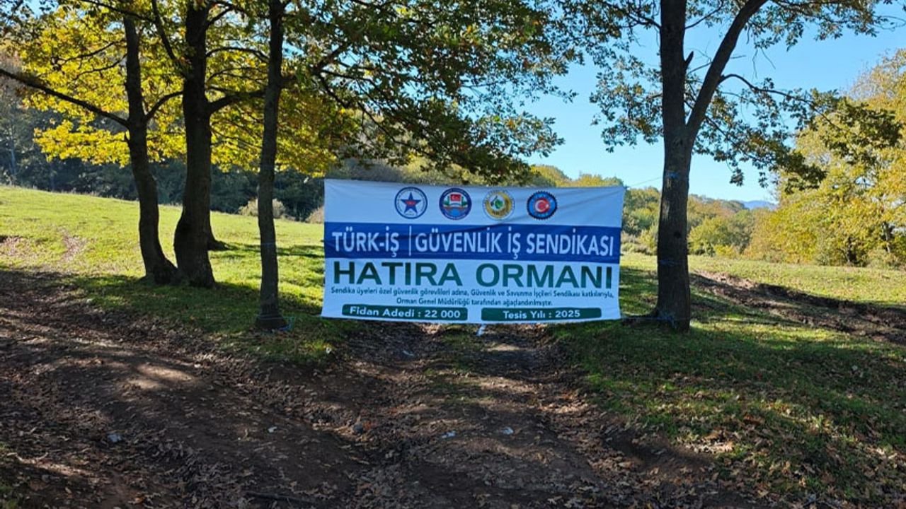 Sakarya’da 22 bin fidan toprakla buluştu