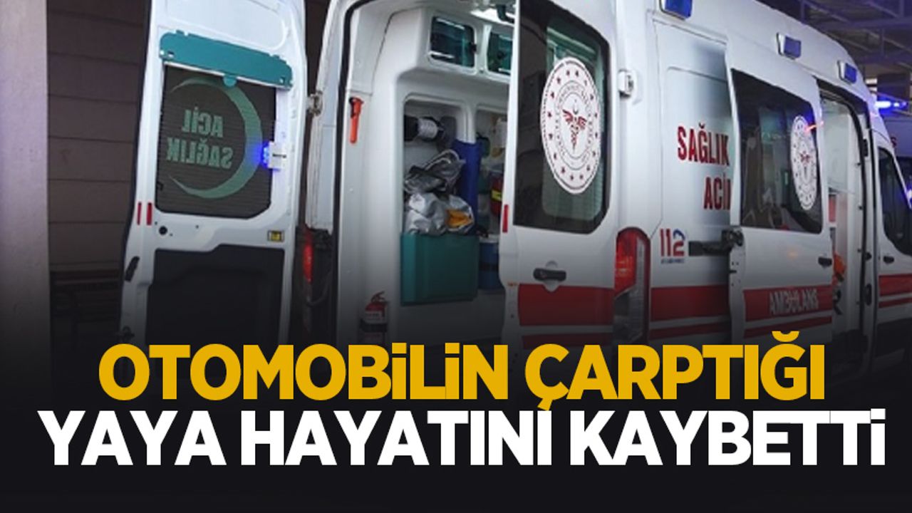 Feci kazada öldü
