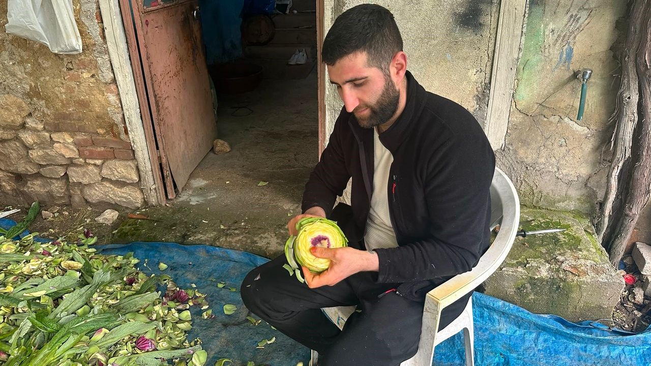 Enginar soyarak ayda 240 bin lira kazanıyor