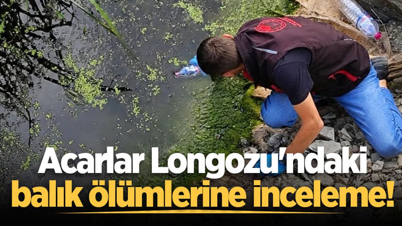 Acarlar Longozu'ndaki balık ölümlerine inceleme!