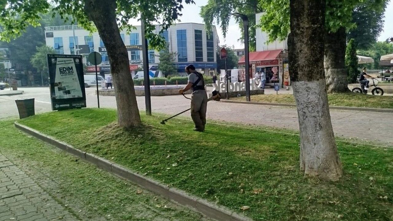 Hendek'te yeşil alanlarda temizlik çalışması
